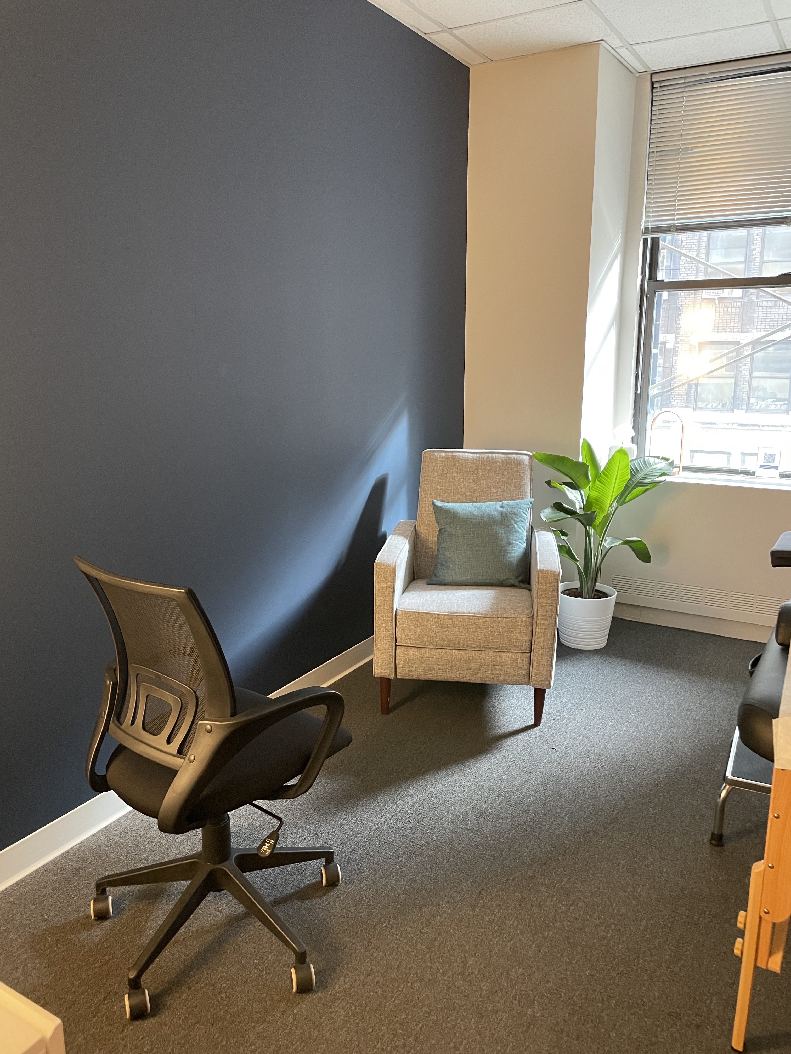 Step into consultation room in Brooklyn and Queens, tailored for therapy professionals with offering modern design and all amenities.